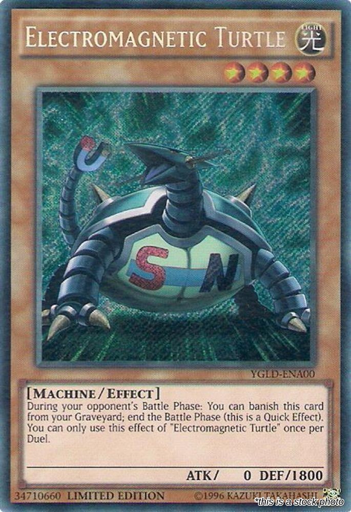 Electromagnetic Turtle
