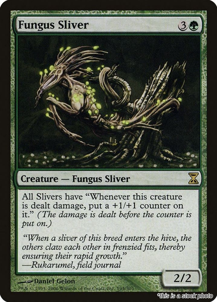 Fungus Sliver