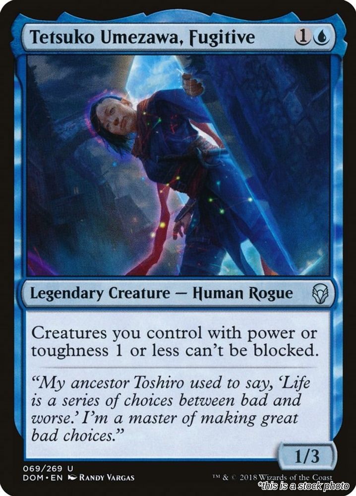 Tetsuko Umezawa, Fugitive