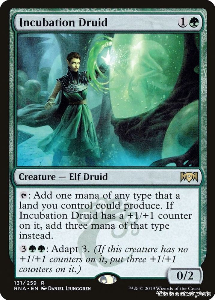 Incubation Druid