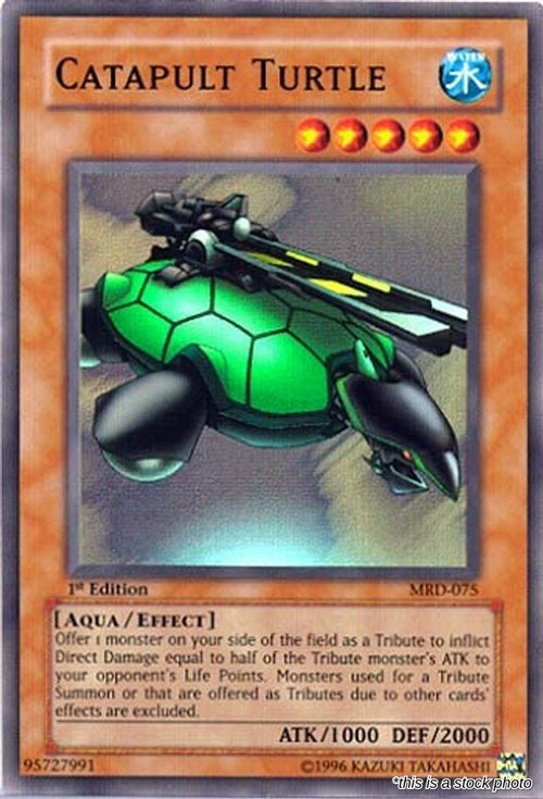 Catapult Turtle