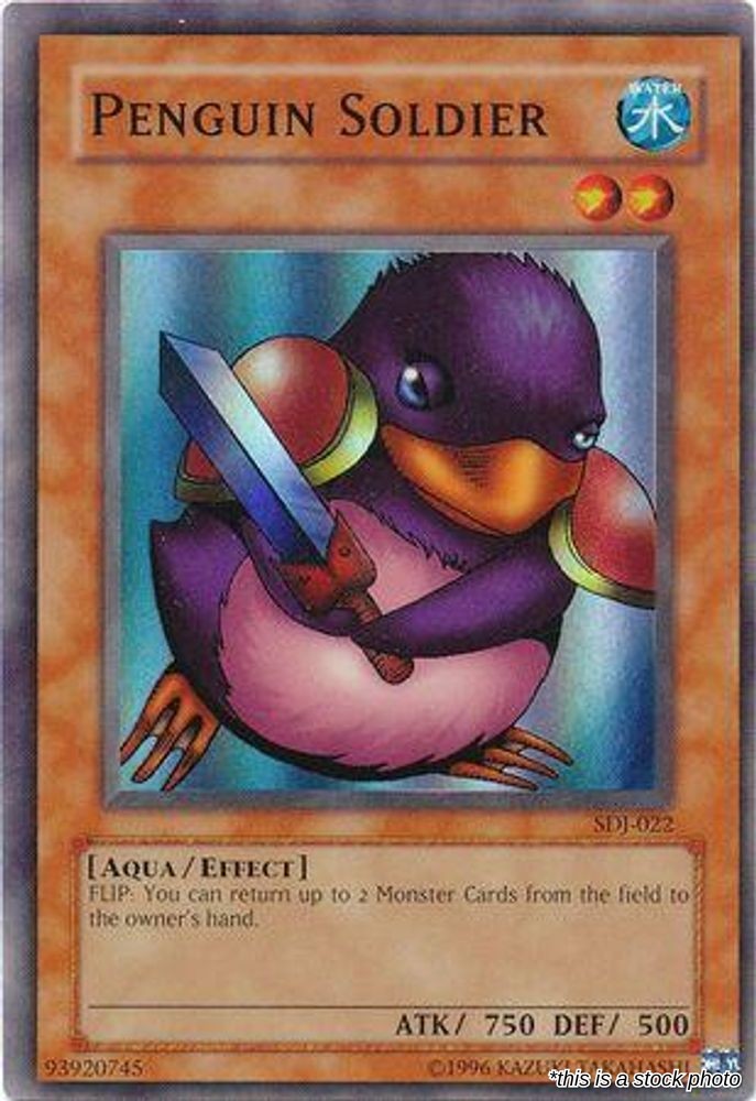 Penguin Soldier