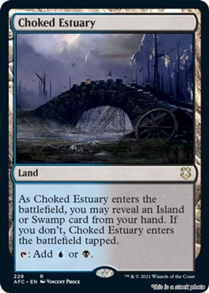 Choked Estuary
