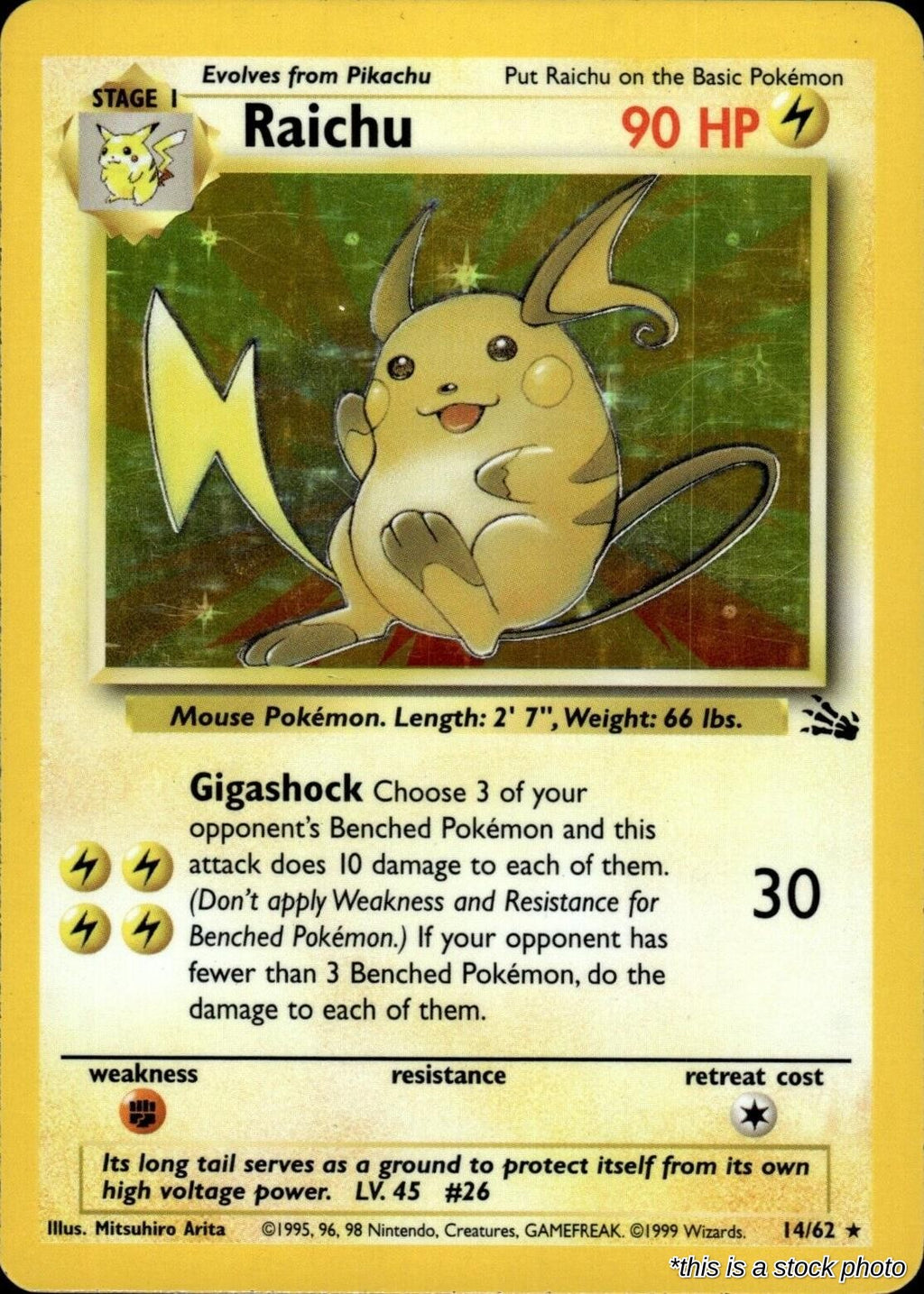 Raichu (14)