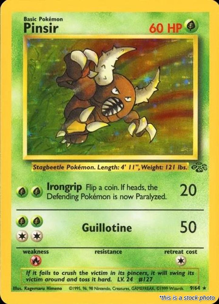 Pinsir (9)