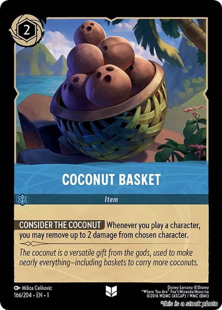 Coconut Basket