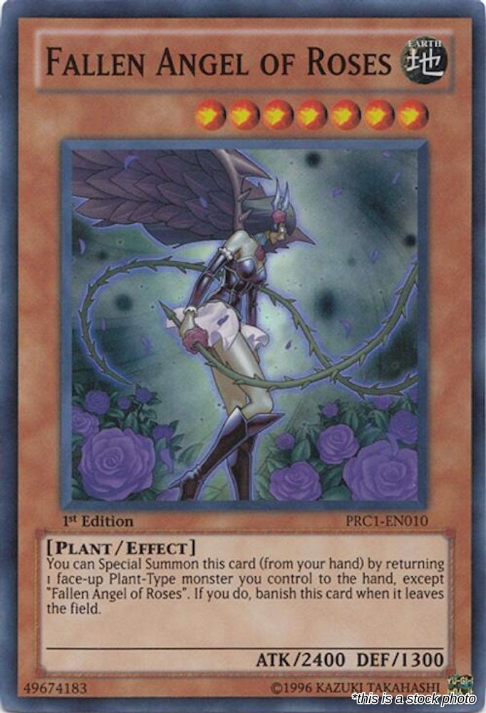 Fallen Angel of Roses
