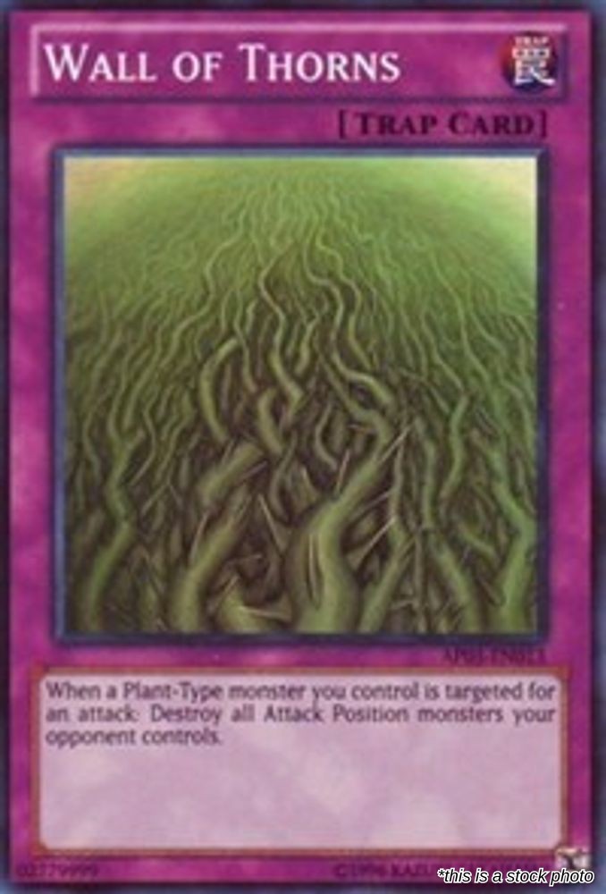 Wall of Thorns