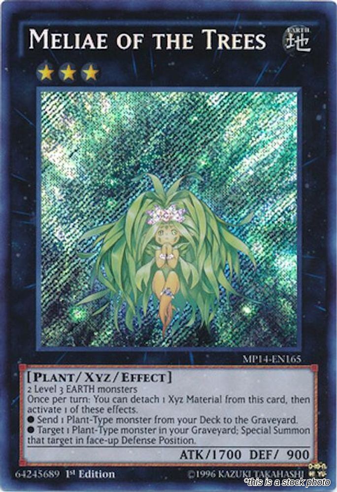 Meliae of the Trees