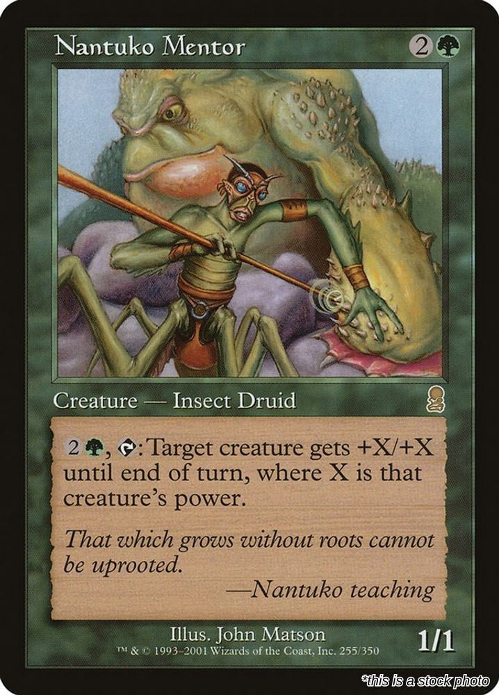 Nantuko Mentor