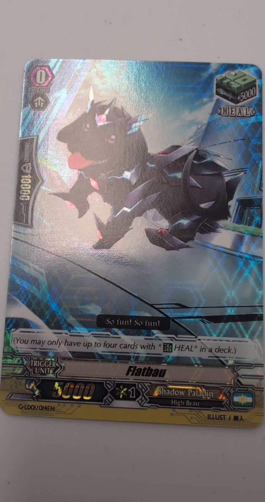 Front + Back scan